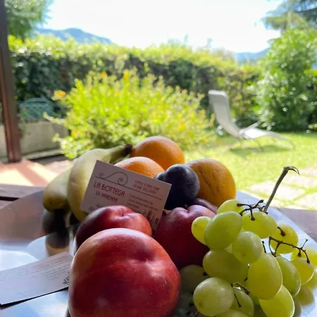 Lejlighed Lallas With Garden And View